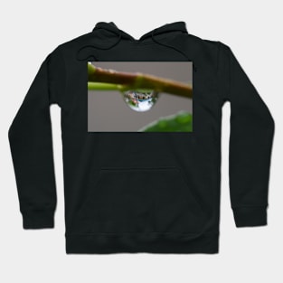 Raindrop mood clear Hoodie